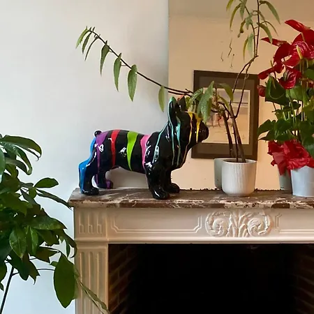 Daire Plein Centre *